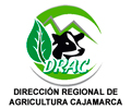 Logo de DIRECCIÓN DE AGRICULTURA CAJAMARCA