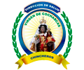 Logo de DIRECCIÓN SALUD VIRGEN DE COCHARCAS