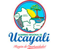 Logo de GOBIERNO REGIONAL DE UCAYALI