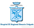 Logo de HOSPITAL HONORIO DELGADO