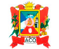 Logo de MUNICIPALIDAD DE ACO