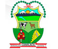 Logo de MUNICIPALIDAD DE CAMILACA 