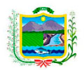 Logo de MUNICIPALIDAD DE CHAO