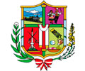 Logo de MUNICIPALIDAD DE CHILCA - JUNÍN