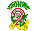 Logo de MUNICIPALIDAD DE CURA MORI