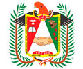 Logo de MUNICIPALIDAD DE POZUZO
