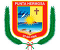 Logo de MUNICIPALIDAD DE PUNTA HERMOSA