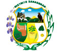 Logo de MUNICIPALIDAD DE SANAGORÁN