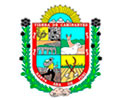 Logo de MUNICIPALIDAD DE SANTA ANA DE TUSI