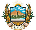 Logo de MUNICIPALIDAD DE TINGO
