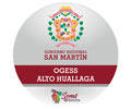 Logo de SALUD ALTO HUALLAGA