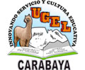 Logo de UGEL CARABAYA